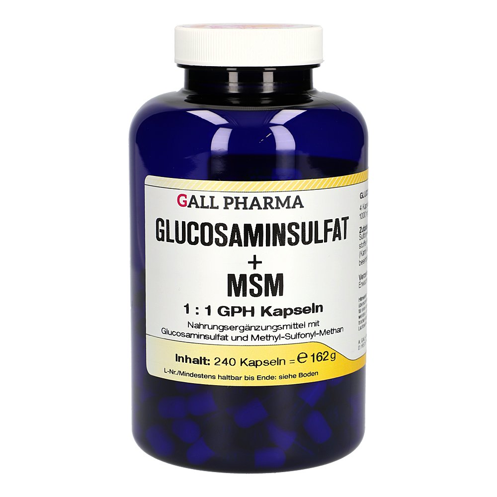GLUCOSAMINSULFAT+MSM 1:1 GPH Kapseln