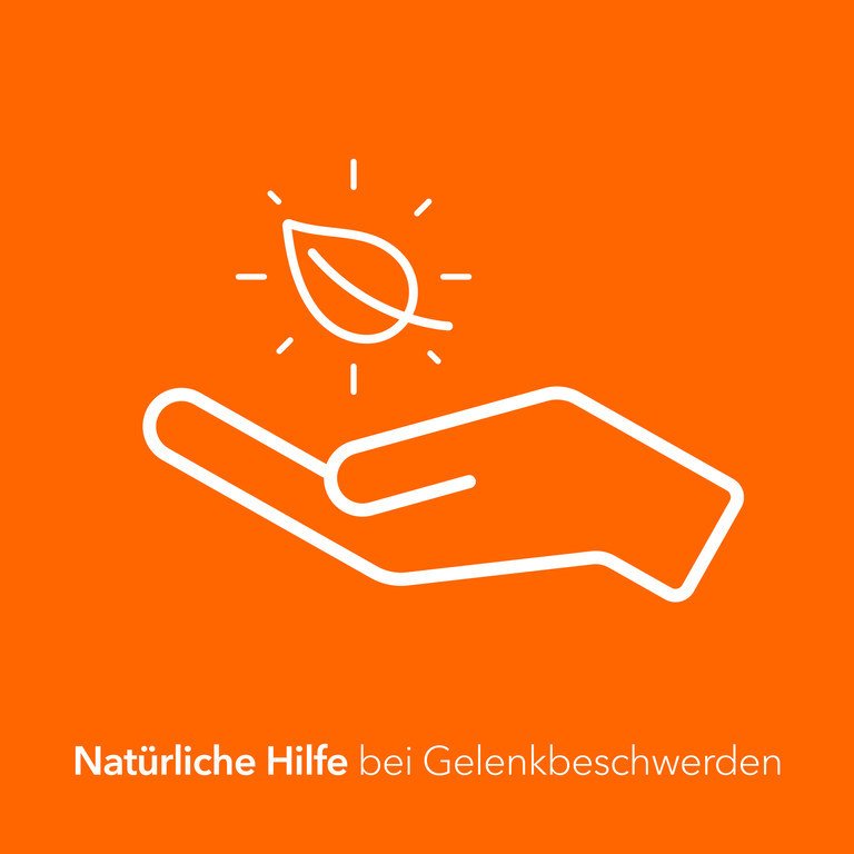 TEUFELSKRALLE-RATIOPHARM Filmtabletten