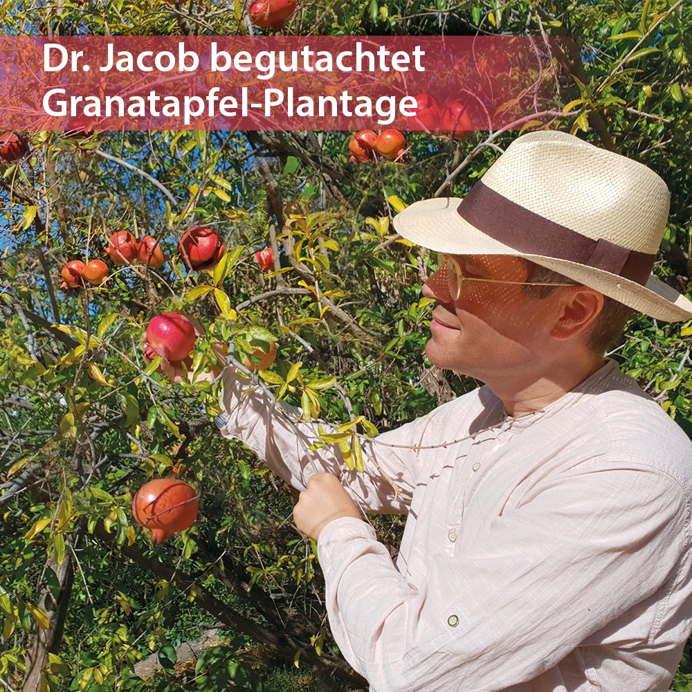 Dr. Jacob's GranaProstan Granatapfelsaft-Extrakt fermentiert