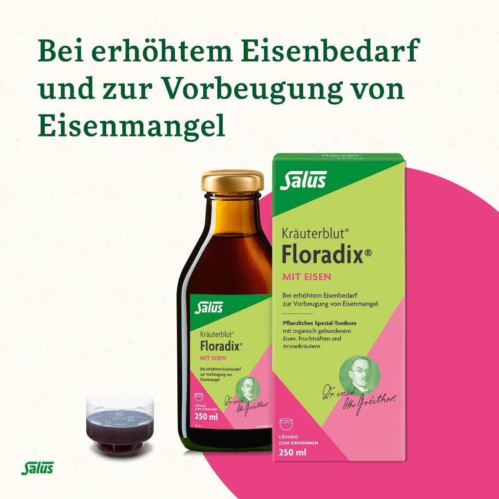Floradix mit Eisen Tonikum
