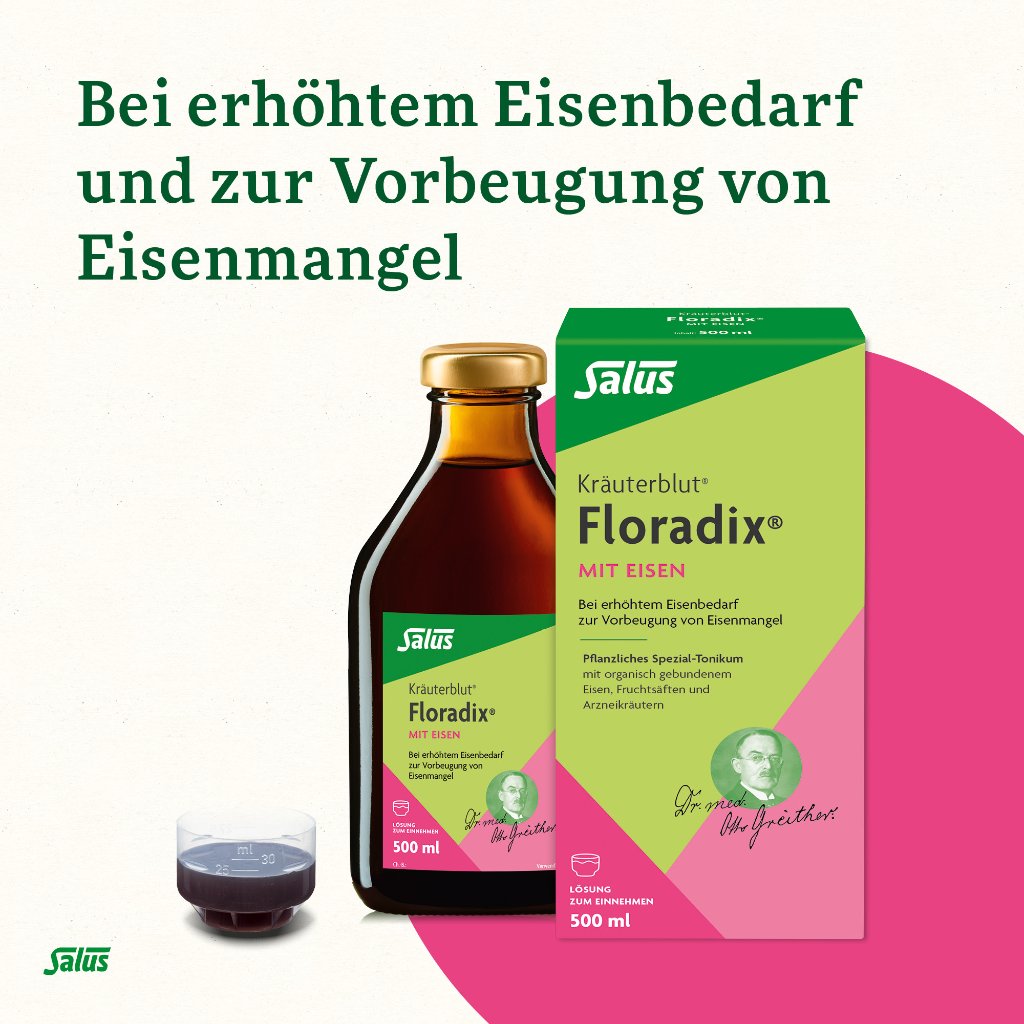 Floradix mit Eisen Tonikum