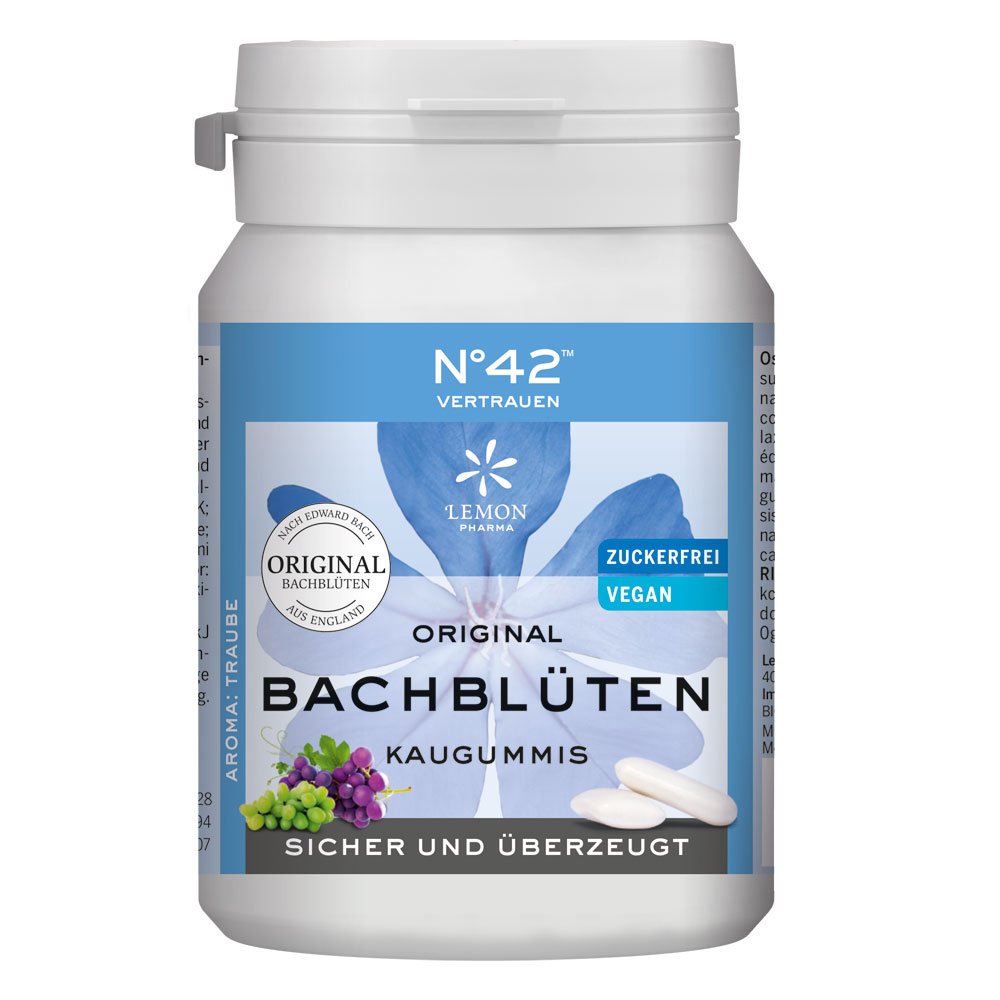 BACHBLÜTEN Kaugummi 60 g No. 40 ENERGIE