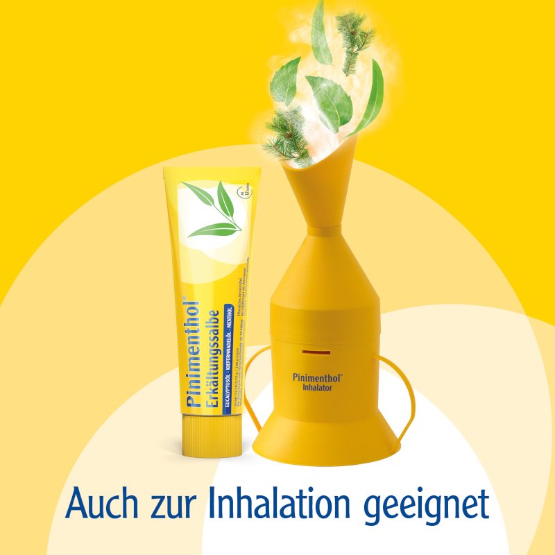 Pinimenthol® Erkältungssalbe Eukalyptus Kiefernnadel Menthol 100 g