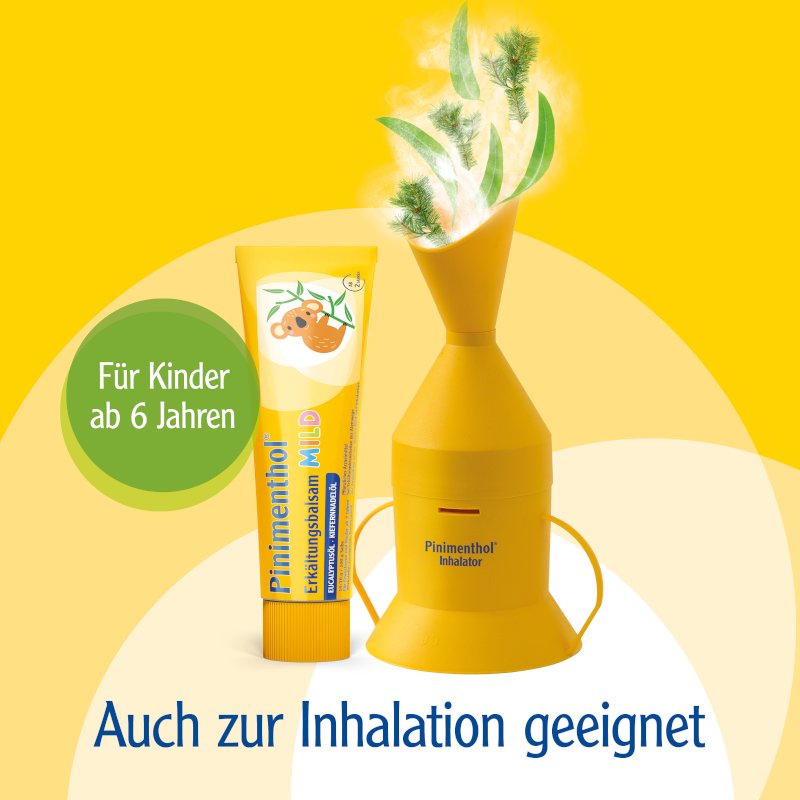 Pinimenthol® Erkältungsbalsam mild 20 g
