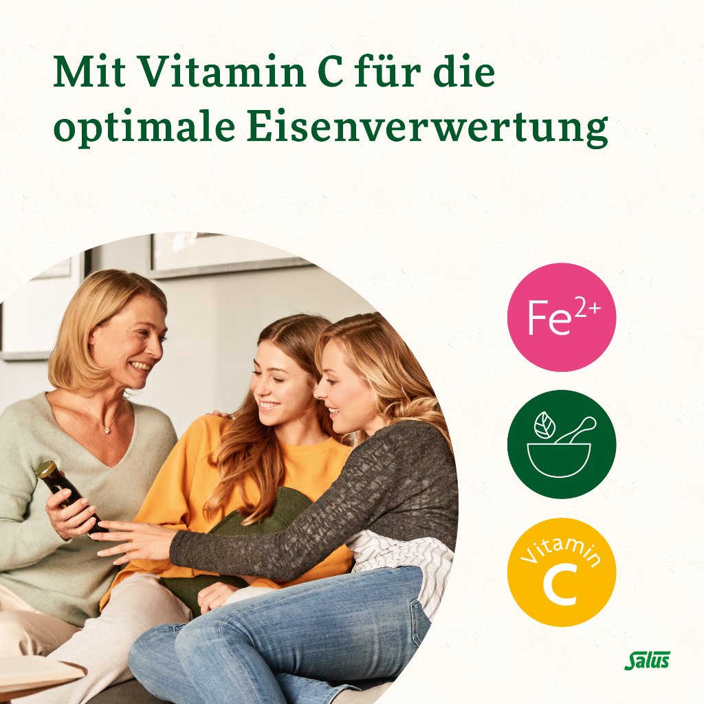 Floradix mit Eisen Tonikum