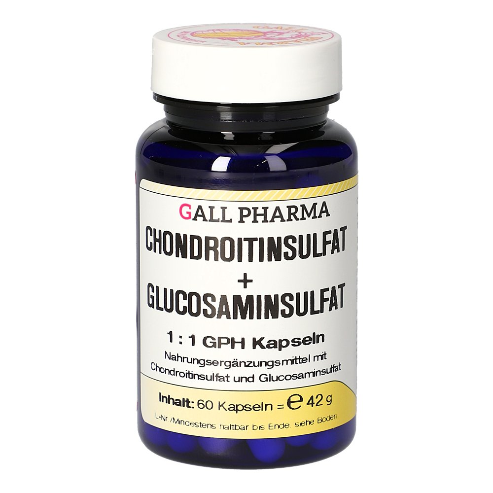 CHONDROITINSULFAT+Glusosaminsulfat 1:1 GPH Kapseln