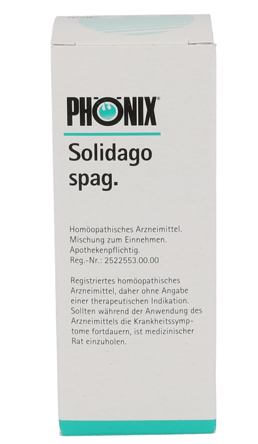 PHÖNIX SOLIDAGO spag.Mischung