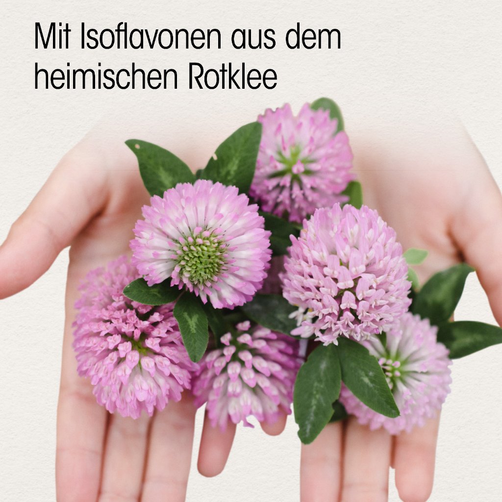 Dr. Böhm® Isoflavon
