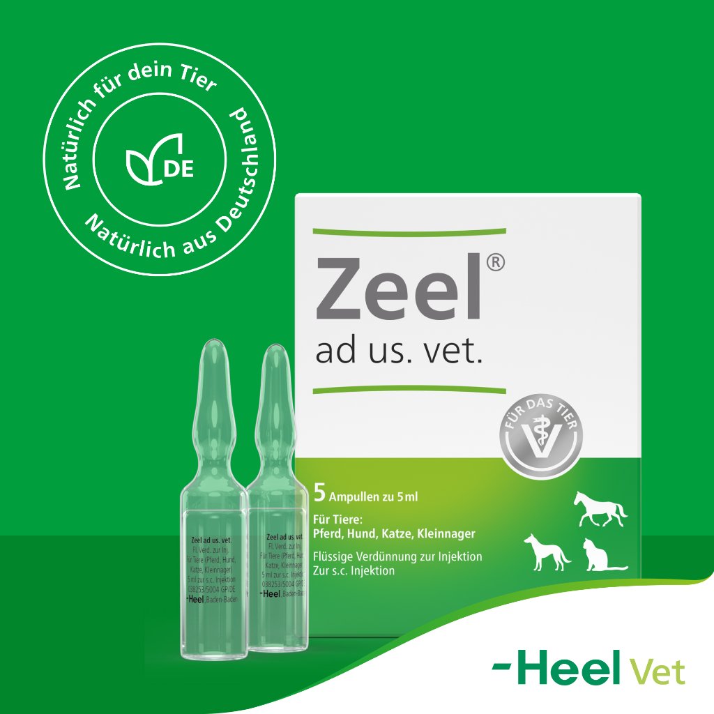 ZEEL ad us.vet.Ampullen