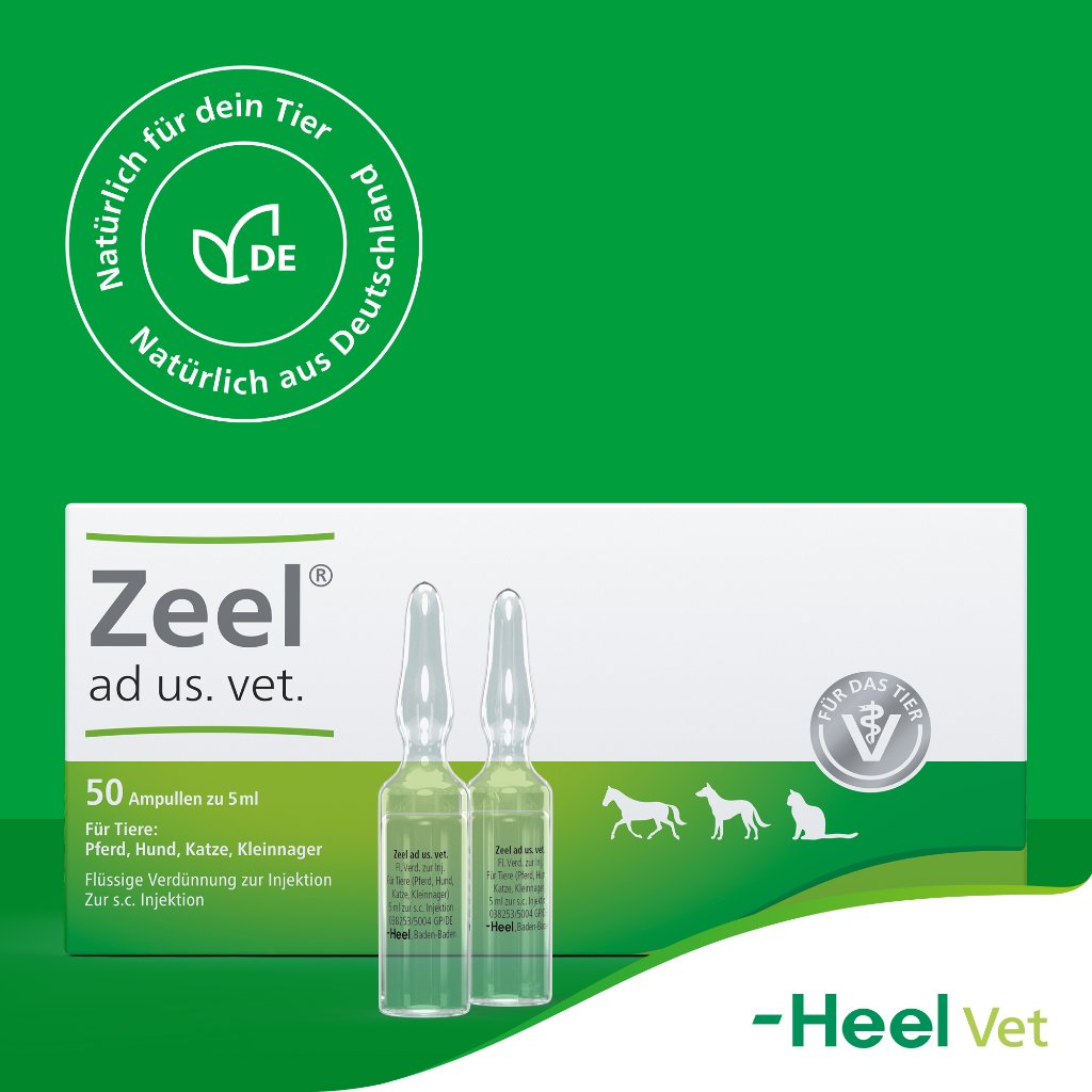 ZEEL ad us.vet.Ampullen