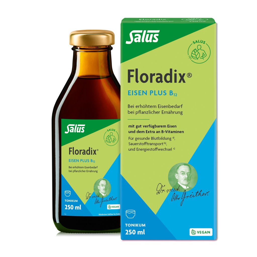 Floradix Eisen plus B12 Tonikum