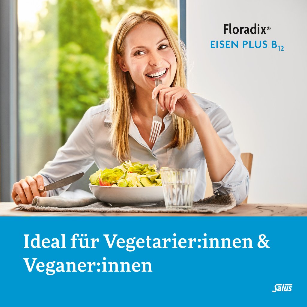 Floradix Eisen plus B12 Tonikum