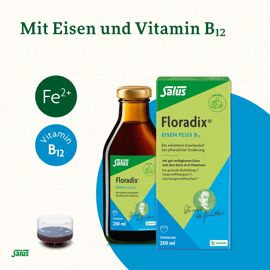 Floradix Eisen plus B12 Tonikum