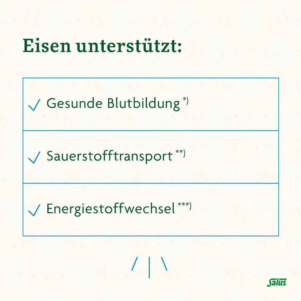 Floradix Eisen plus B12 Tonikum