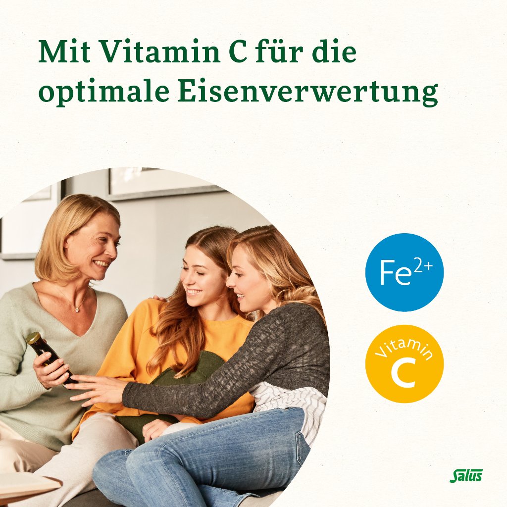 Floradix Eisen plus B12 Tonikum