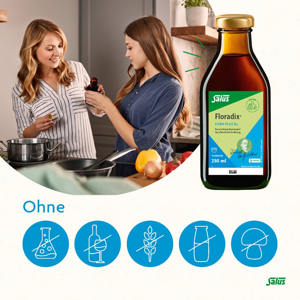 Floradix Eisen plus B12 Tonikum