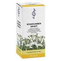 SCHAFGARBENKRAUT Tee