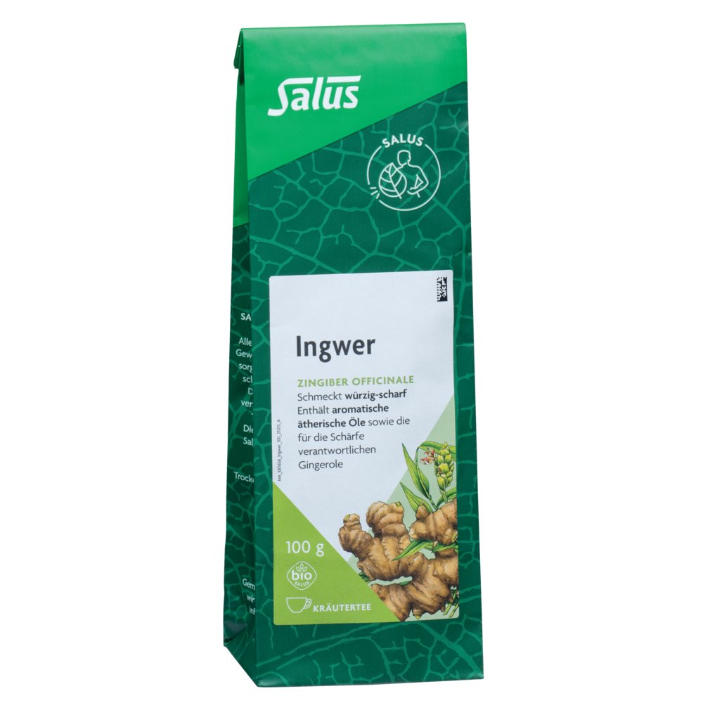 INGWER GEWÜRZTEE Zingiber officinale Bio Salus
