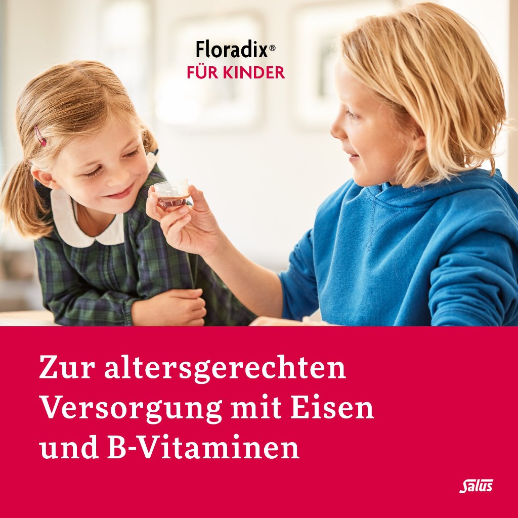 Floradix Eisen für Kinder Tonikum