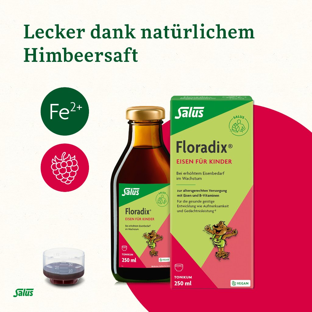 Floradix Eisen für Kinder Tonikum