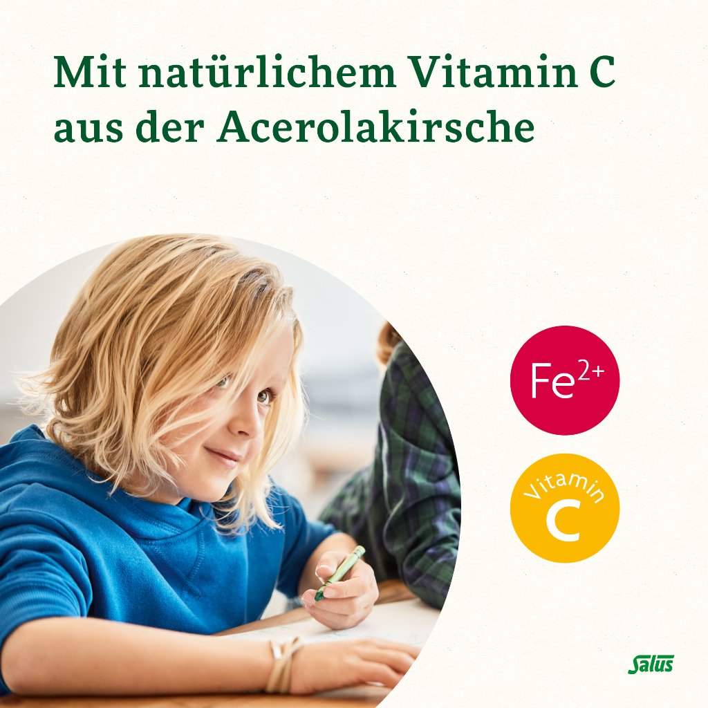 Floradix Eisen für Kinder Tonikum