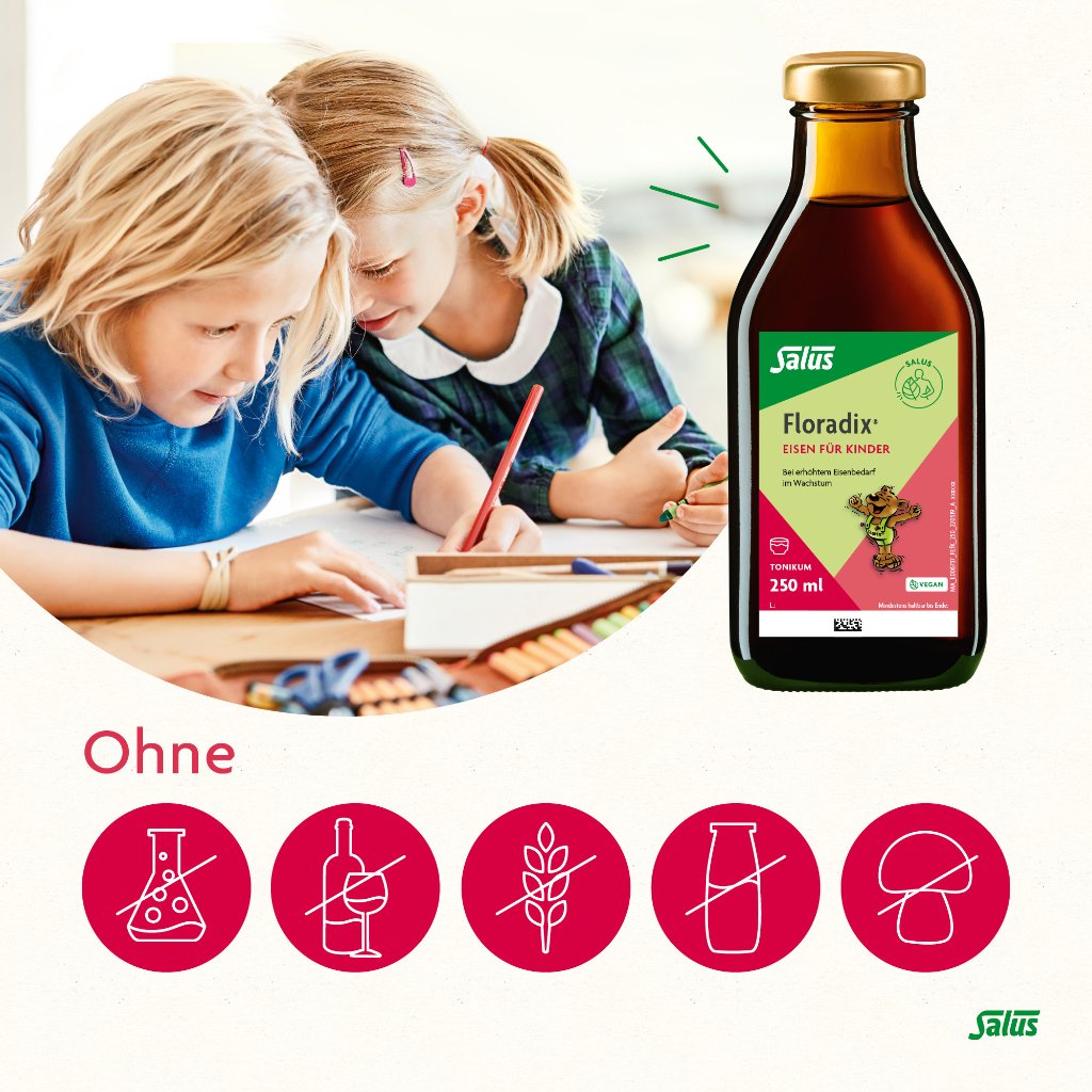 Floradix Eisen für Kinder Tonikum