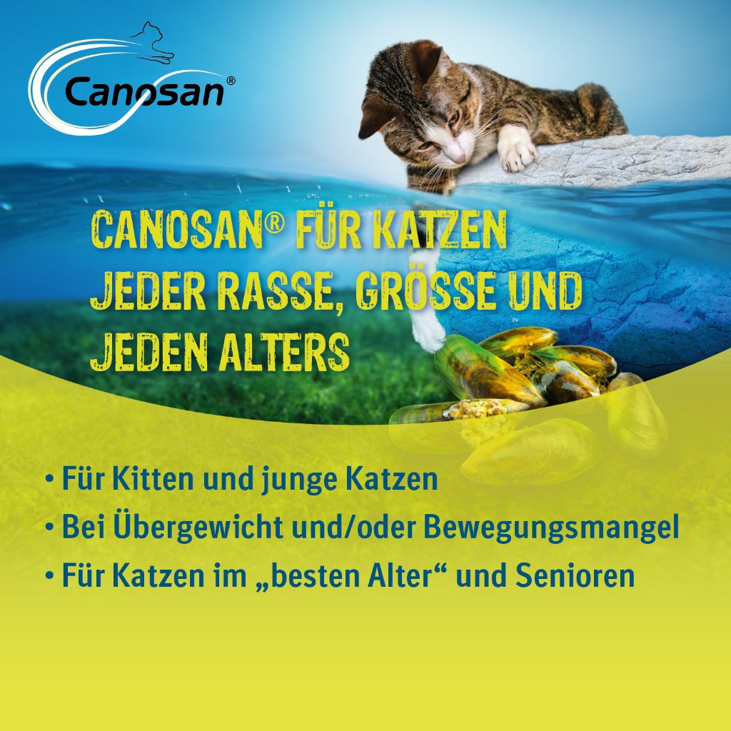 Canosan Kautabletten für die Gelenkgesundheit bei Katzen