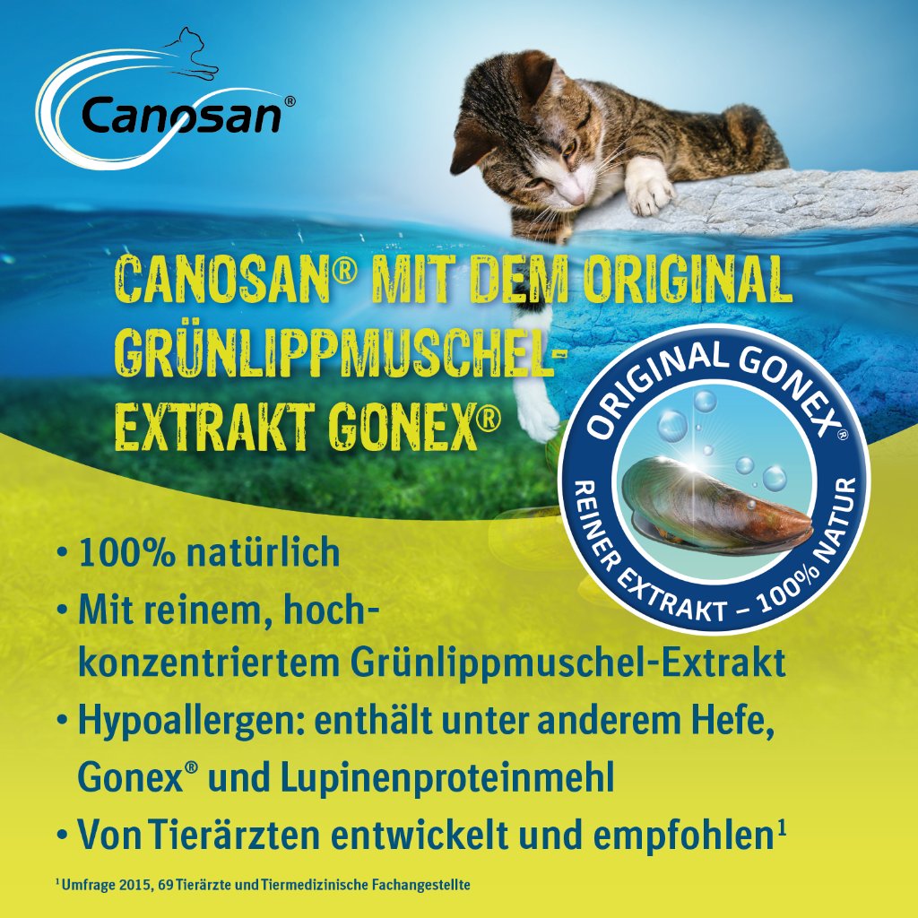 Canosan Kautabletten für die Gelenkgesundheit bei Katzen