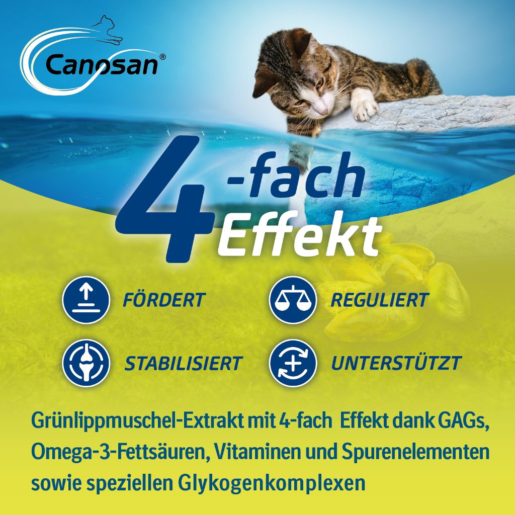 Canosan Kautabletten für die Gelenkgesundheit bei Katzen