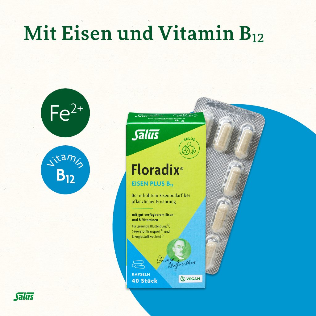 Floradix Eisen plus B12 Kapseln