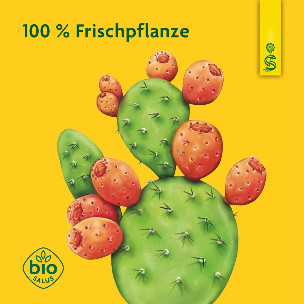 Schoenenberger naturreiner Fruchtsaft Kaktusfeige