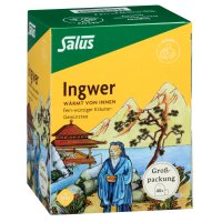 INGWER KRÄUTER-GEWÜRZTEE-Mischung Bio Salus Fbtl.