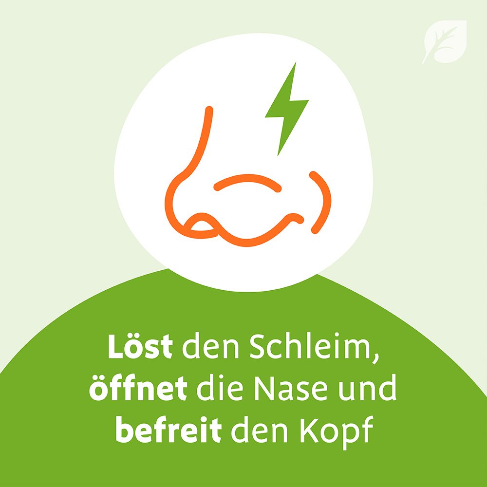 Sinupret® Saft - für Kinder bei festsitzendem Schnupfen
