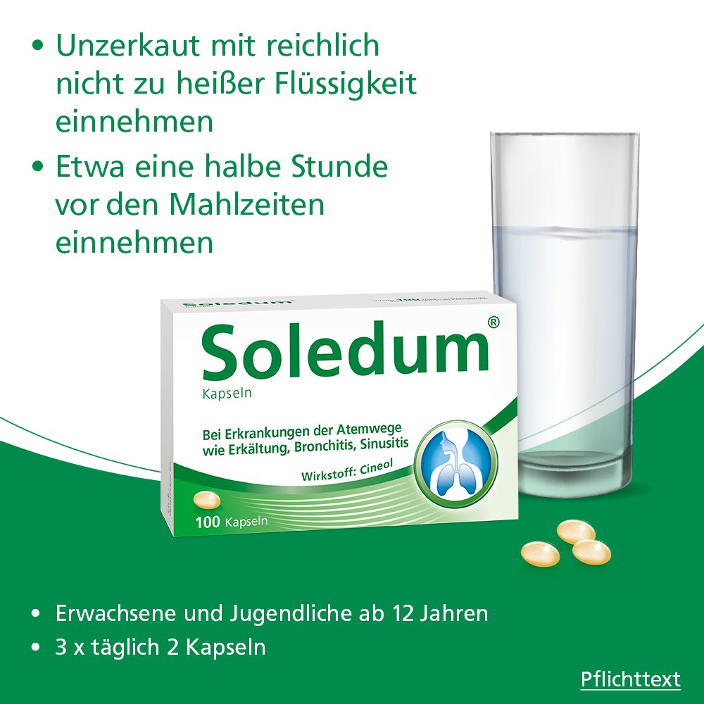 Soledum Kapseln N3 100 St