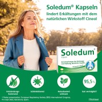 Soledum Kapseln N3 100 St