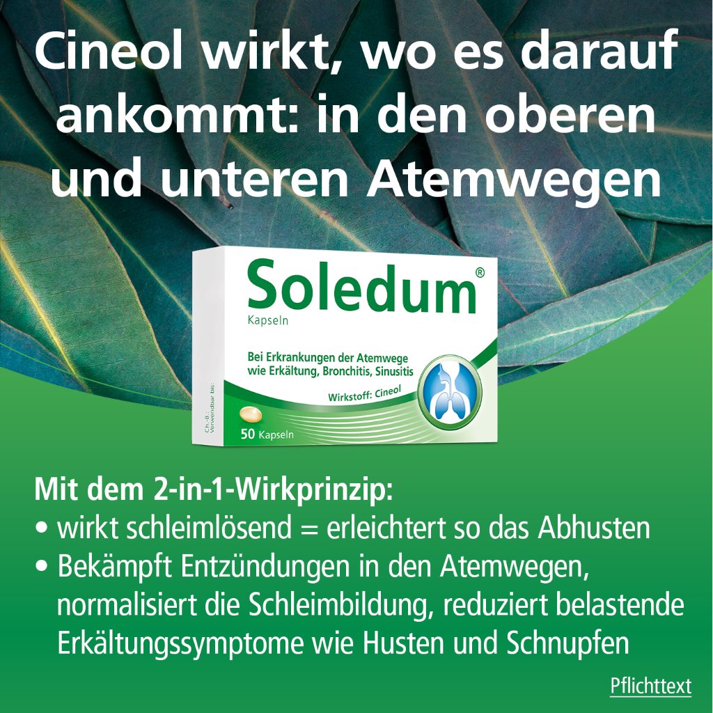 Soledum Kapseln N3 100 St