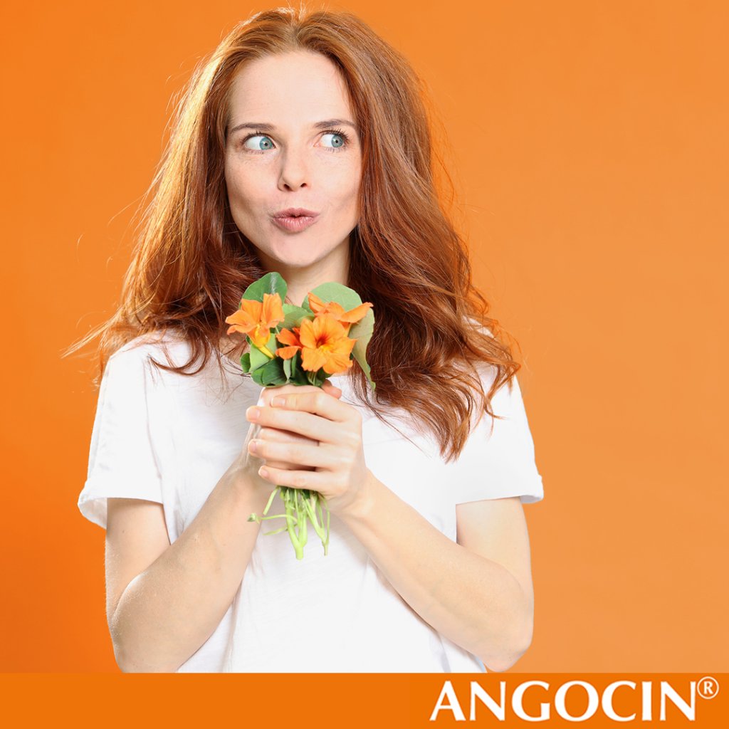 ANGOCIN Anti Infekt N Filmtabletten