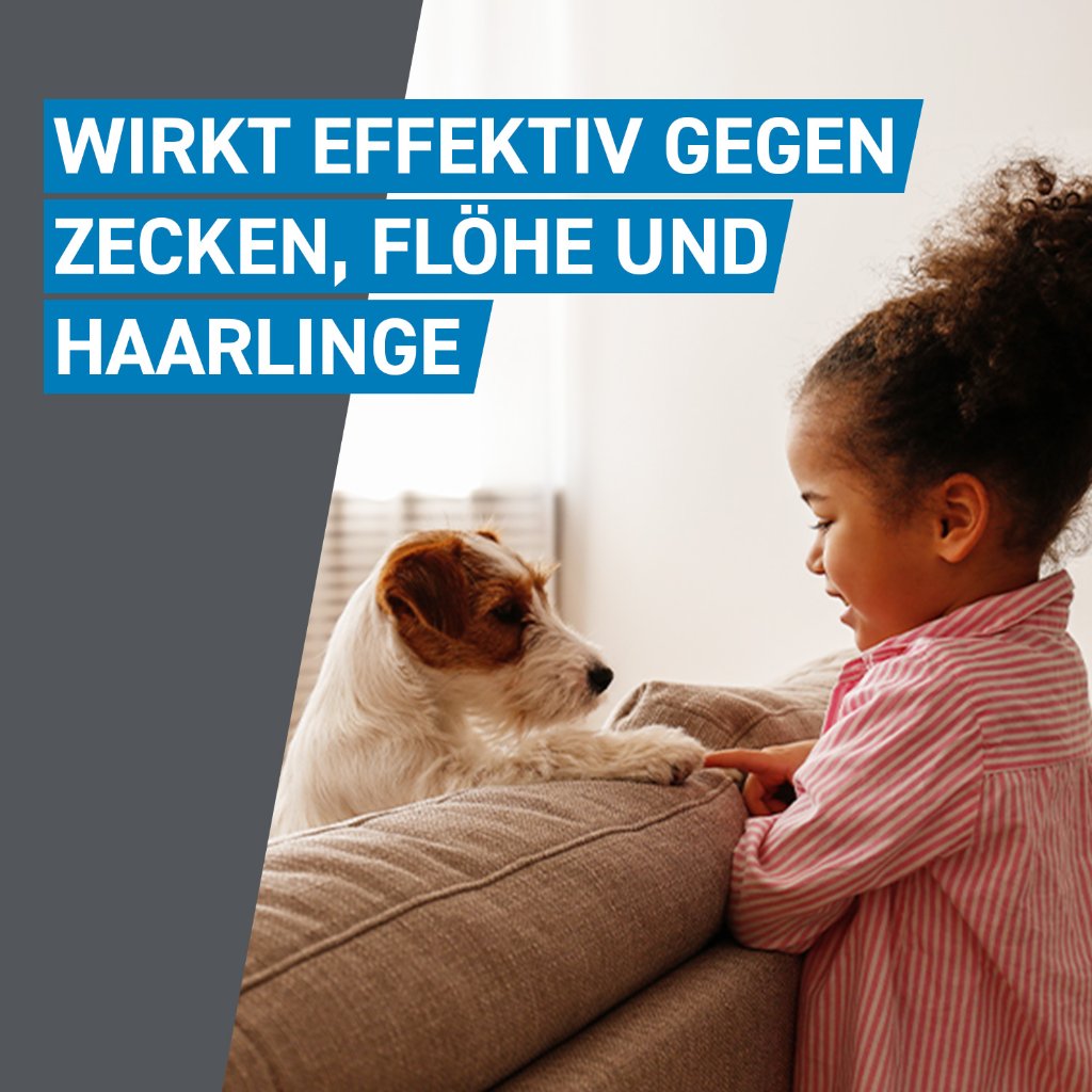 Frontline Spot on Floh- und Zeckenschutz f. Hunde L 3 Pip.