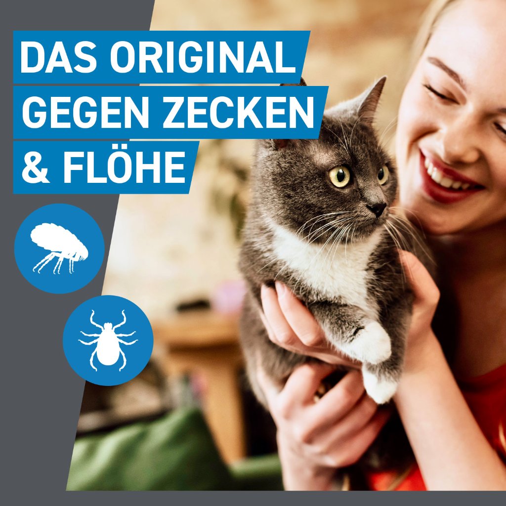 Frontline Spot on Floh- und Zeckenschutz f. Katzen 3 Pip.