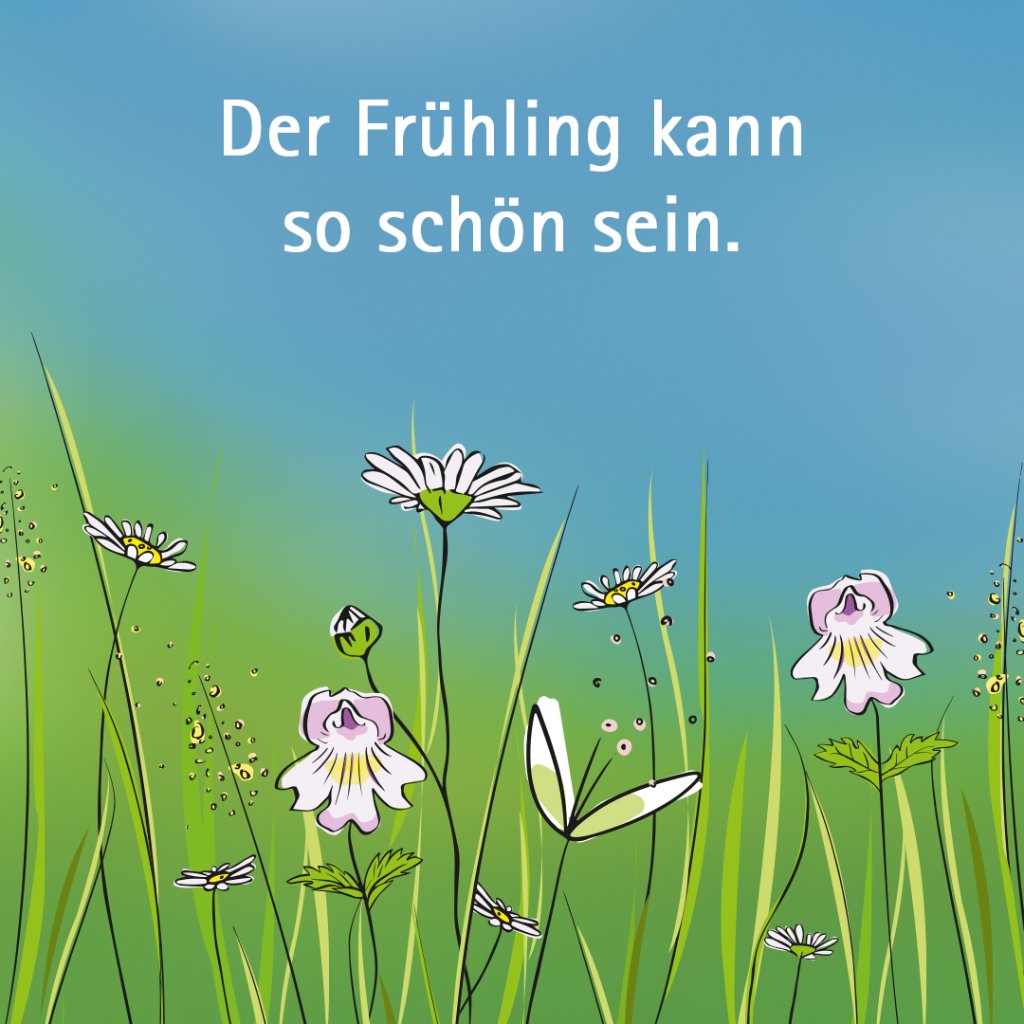 Euphrasia Augentropfen