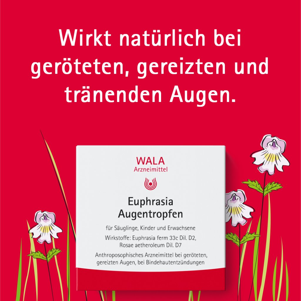 Euphrasia Augentropfen