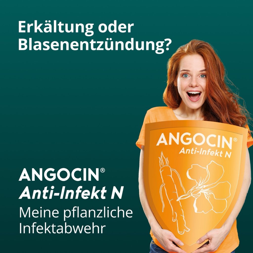 ANGOCIN Anti Infekt N Filmtabletten
