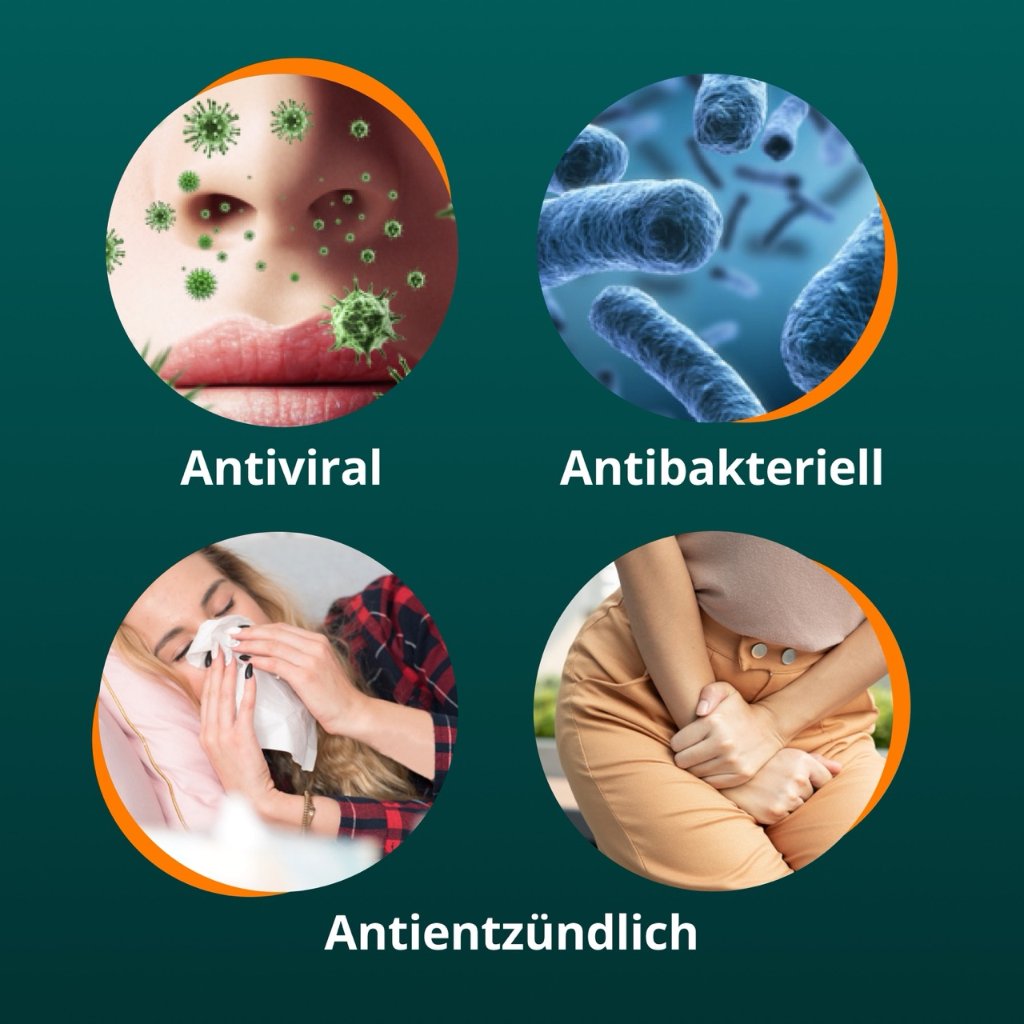 ANGOCIN Anti Infekt N Filmtabletten