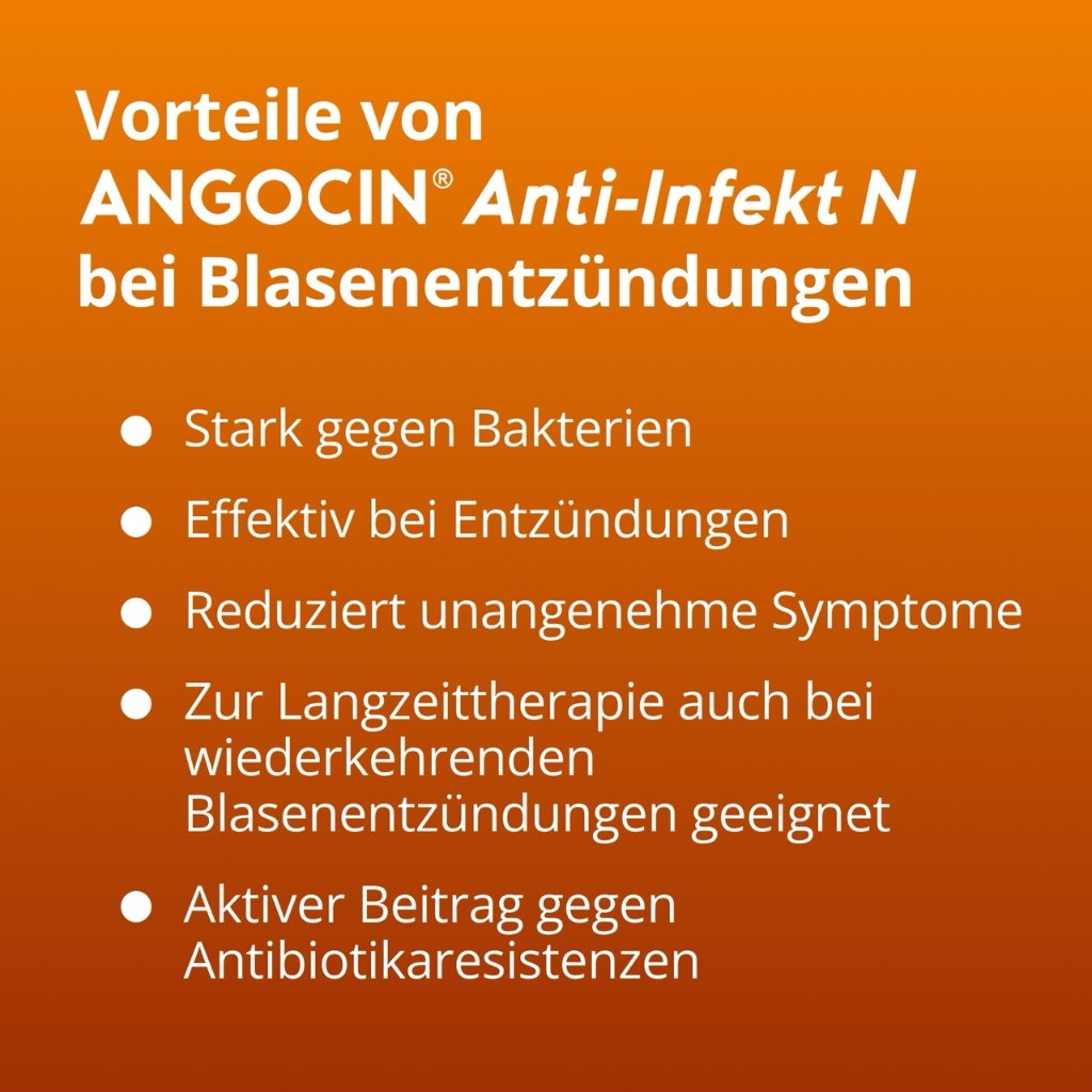 ANGOCIN Anti Infekt N Filmtabletten