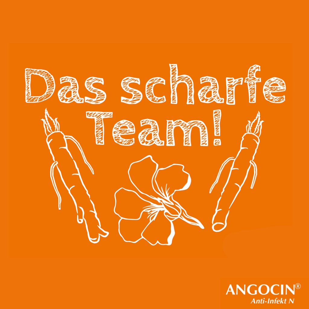 ANGOCIN Anti Infekt N Filmtabletten