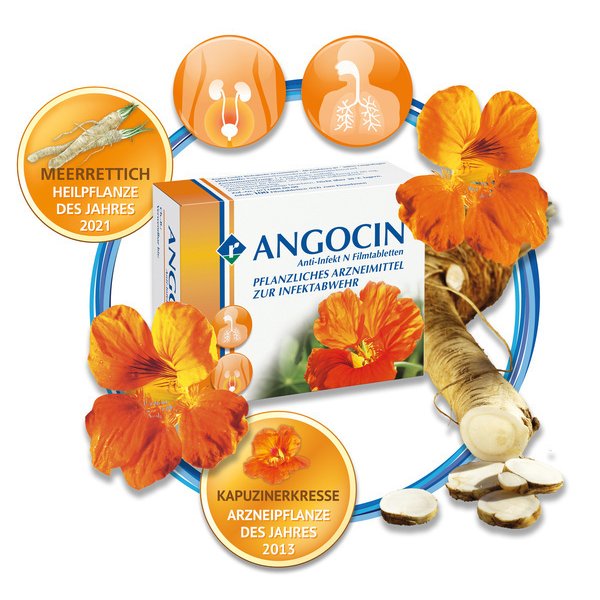 ANGOCIN Anti Infekt N Filmtabletten