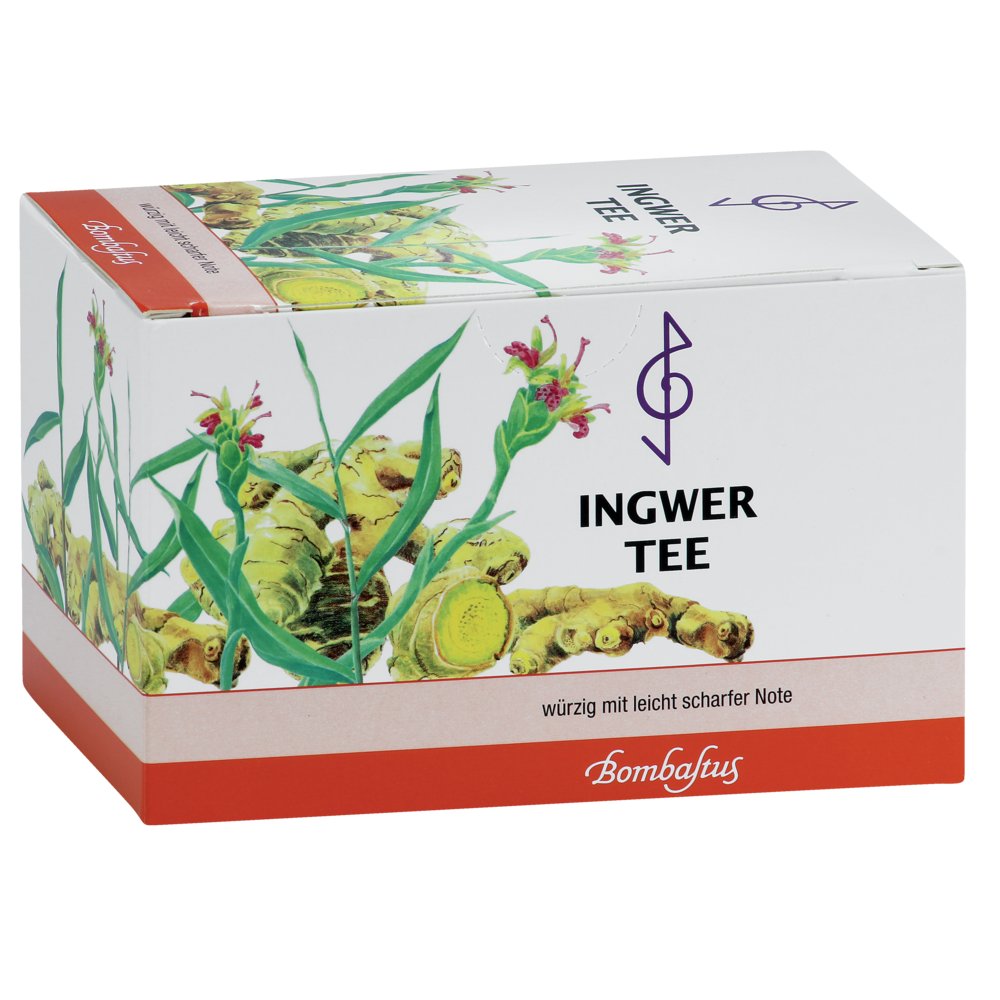 INGWER TEE Filterbeutel