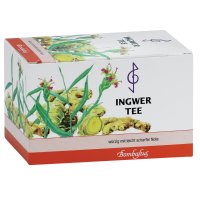 INGWER TEE Filterbeutel