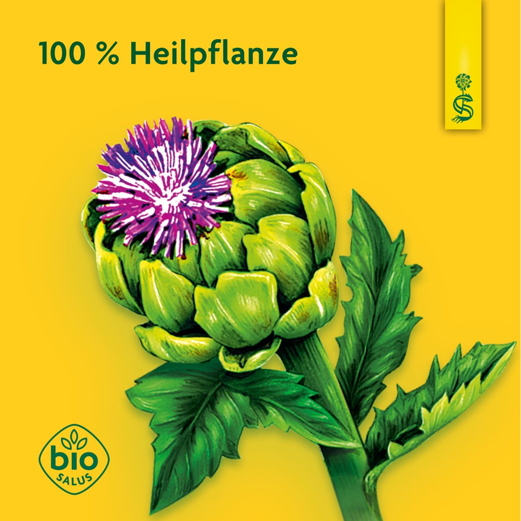 Schoenenberger naturreiner Heilpflanzensaft Artischocke