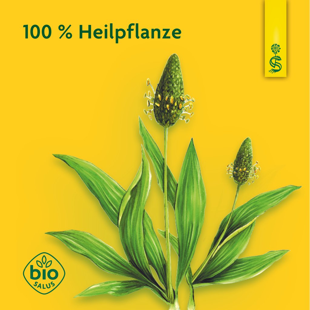 Schoenenberger naturreiner Heilpflanzensaft Spitzwegerich